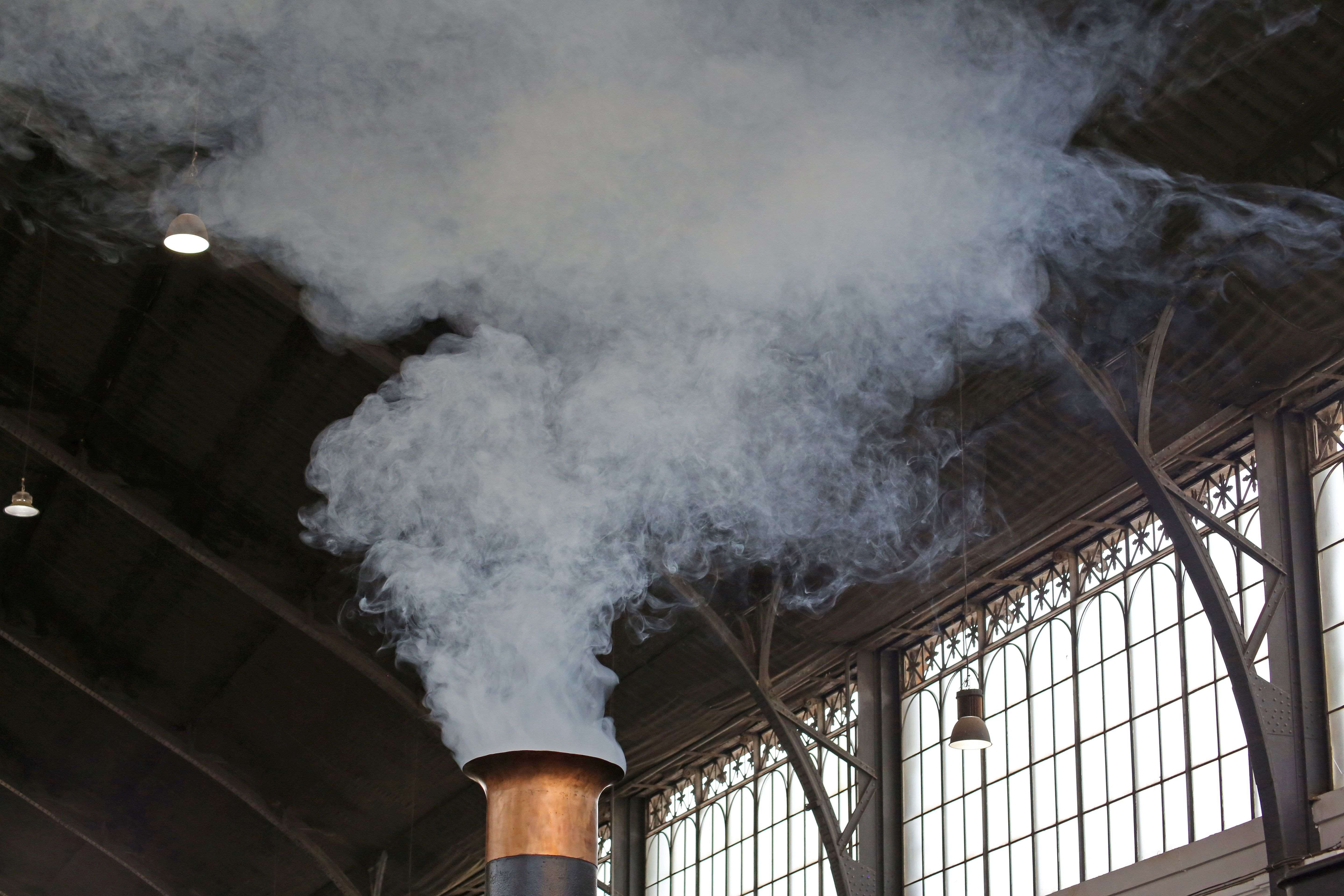 Actualidad del Museo